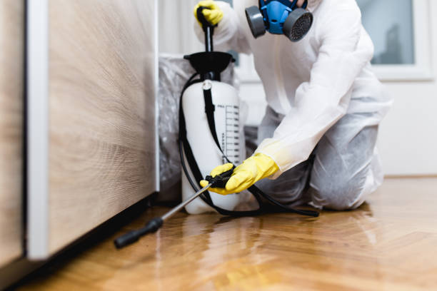 Best Mosquito Control Services  in Red Cloud, NE