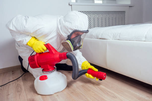 Best Affordable Pest Control Services  in Red Cloud, NE