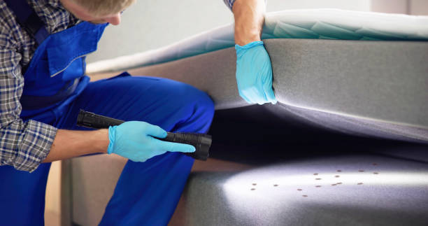 Best Local Pest Control Services  in Red Cloud, NE