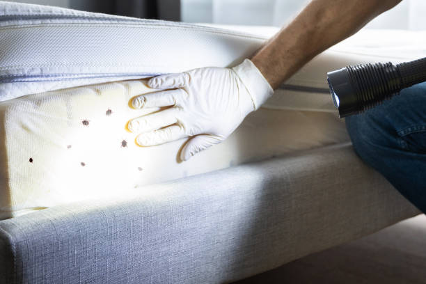 Best Pest Prevention Services  in Red Cloud, NE